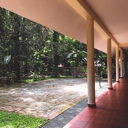 Palm Grove Service Villa Kochi Ngoại thất bức ảnh