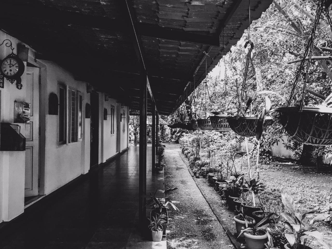 Palm Grove Service Villa Kochi Ngoại thất bức ảnh