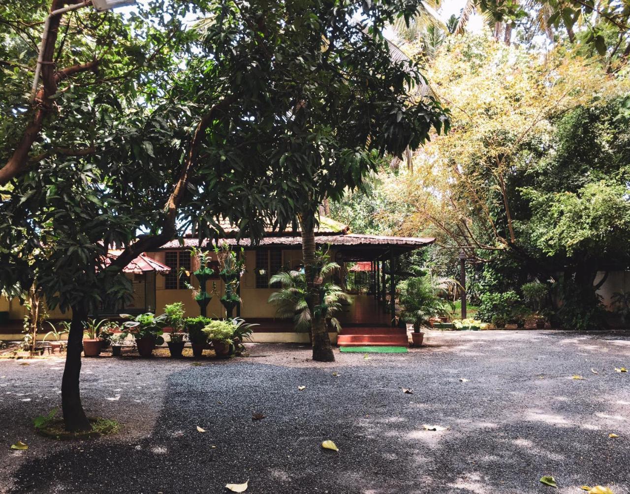 Palm Grove Service Villa Kochi Ngoại thất bức ảnh