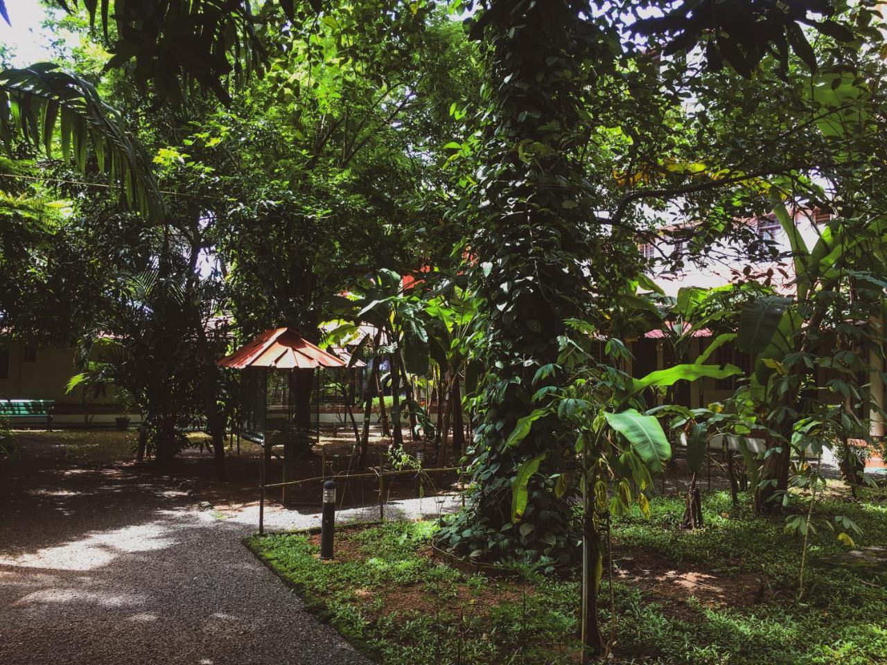Palm Grove Service Villa Kochi Ngoại thất bức ảnh