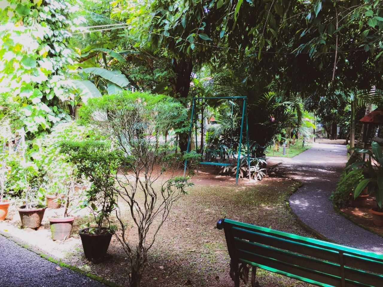 Palm Grove Service Villa Kochi Ngoại thất bức ảnh