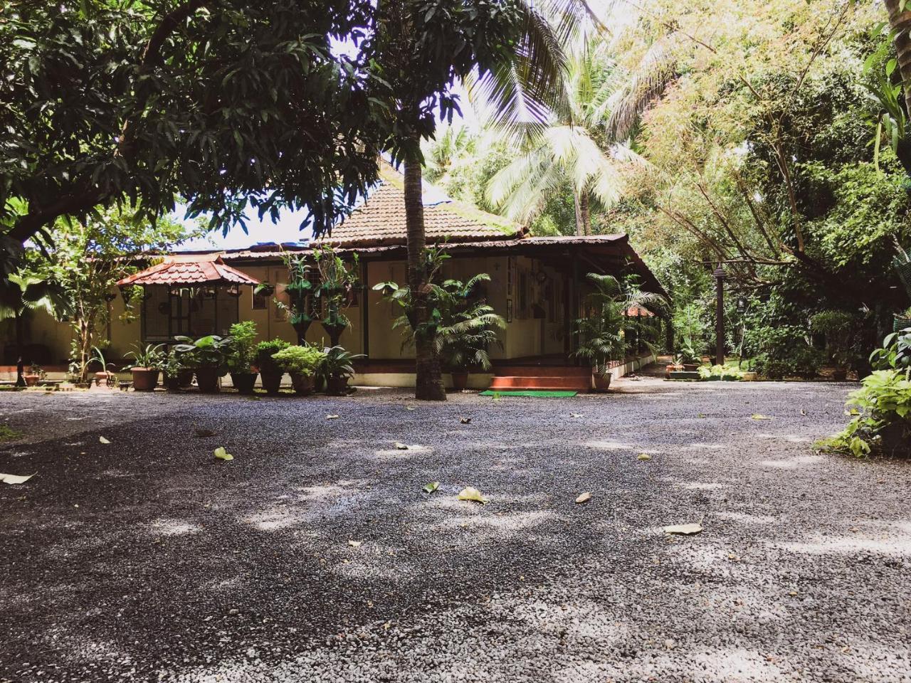 Palm Grove Service Villa Kochi Ngoại thất bức ảnh