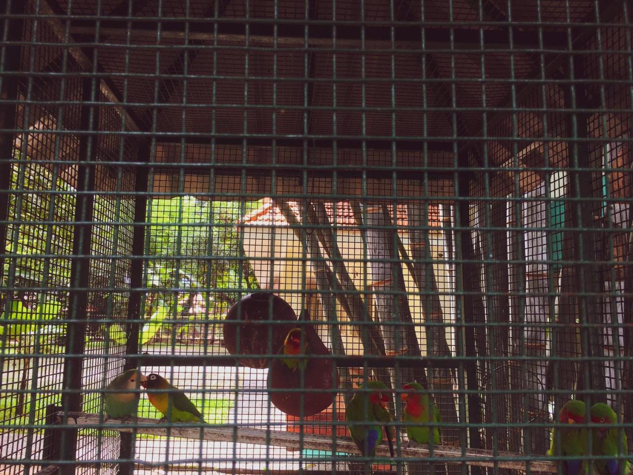 Palm Grove Service Villa Kochi Ngoại thất bức ảnh