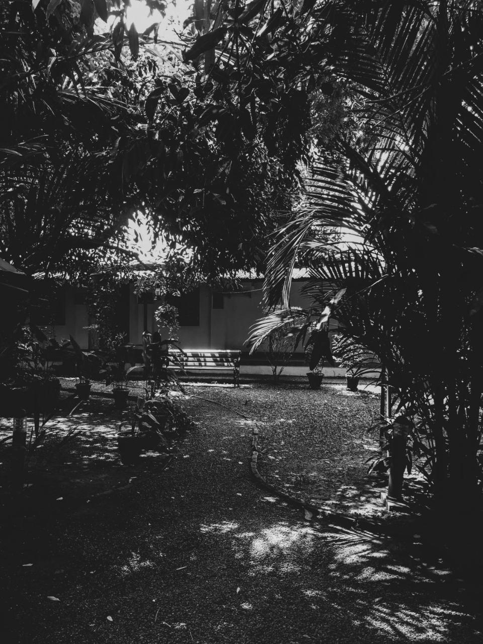 Palm Grove Service Villa Kochi Ngoại thất bức ảnh