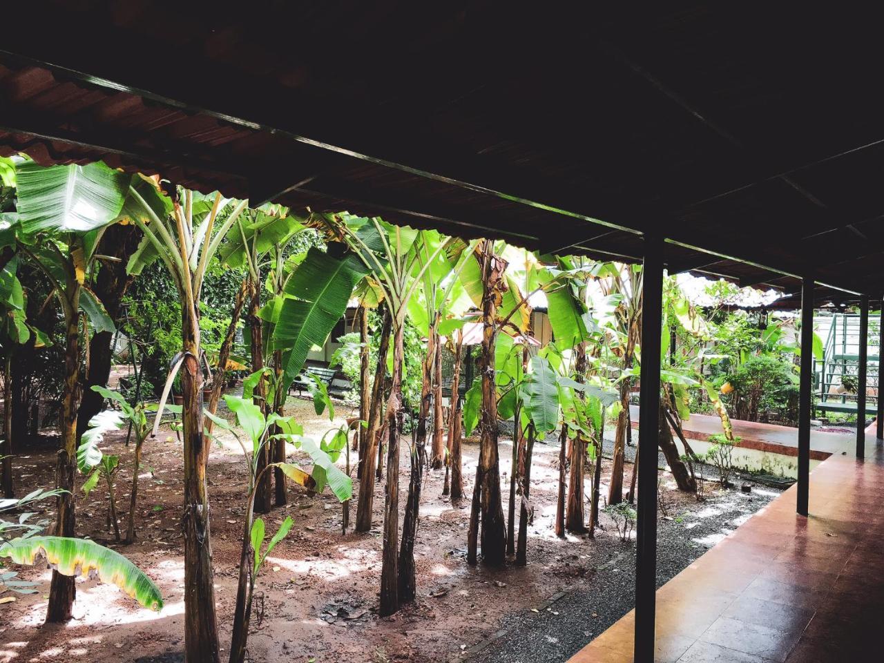 Palm Grove Service Villa Kochi Ngoại thất bức ảnh