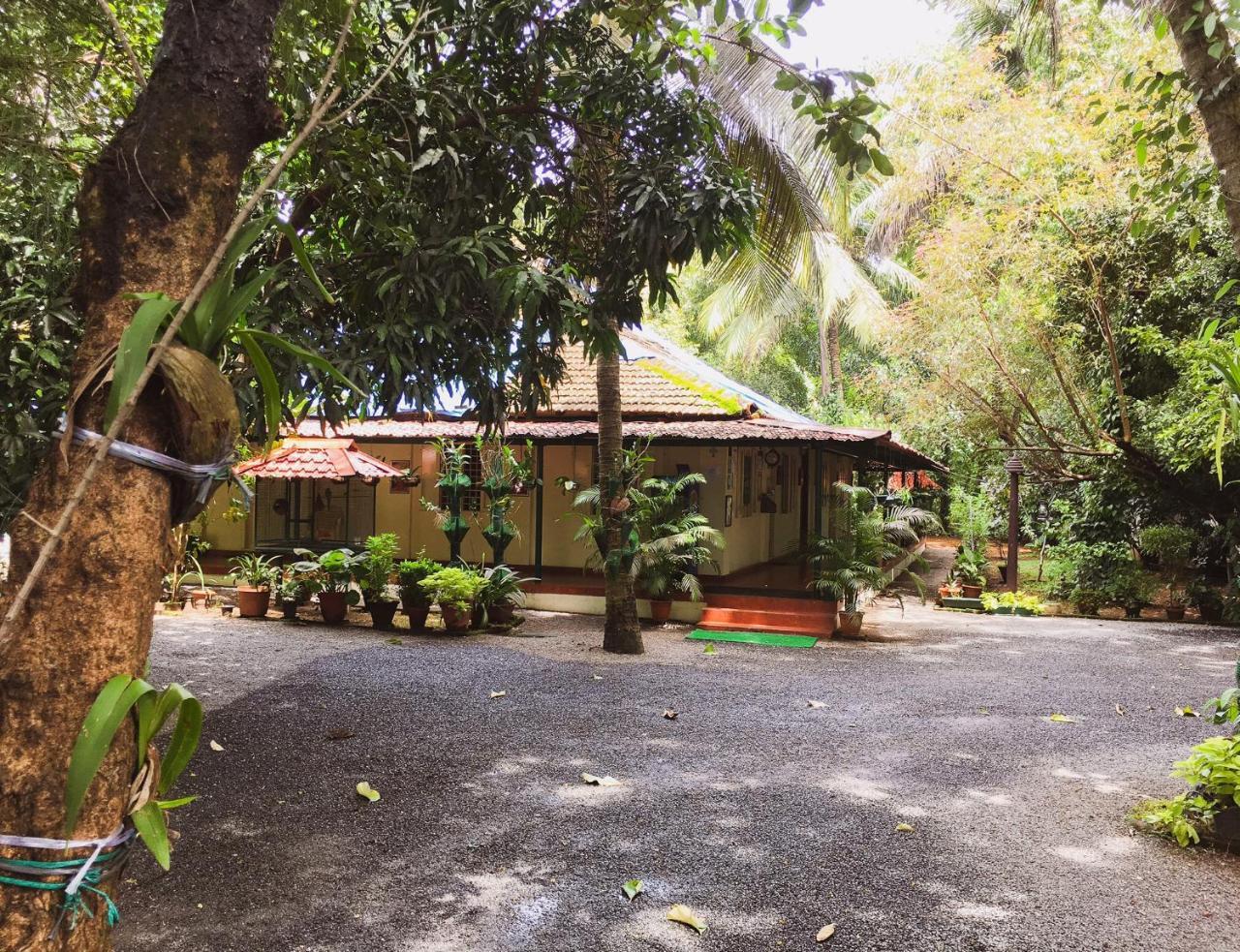 Palm Grove Service Villa Kochi Ngoại thất bức ảnh