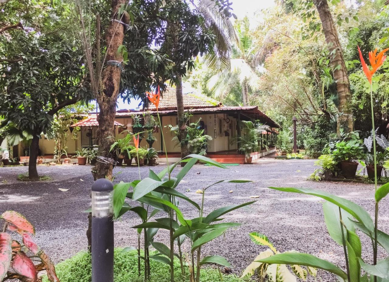 Palm Grove Service Villa Kochi Ngoại thất bức ảnh